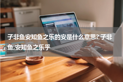 子非鱼安知鱼之乐的安是什么意思? 子非鱼,安知鱼之乐乎