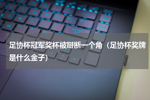 足协杯冠军奖杯被掰断一个角（足协杯奖牌是什么金子）