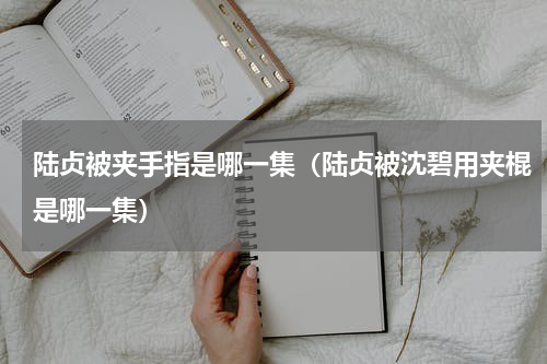 陆贞被夹手指是哪一集（陆贞被沈碧用夹棍是哪一集）