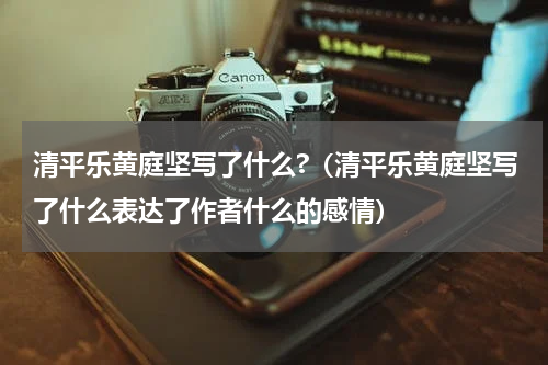清平乐黄庭坚写了什么?（清平乐黄庭坚写了什么表达了作者什么的感情）
