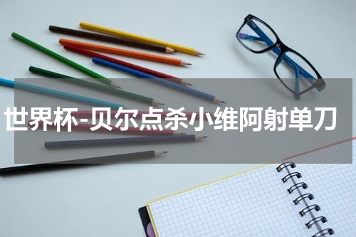 世界杯-贝尔点杀小维阿射单刀