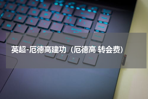 英超-厄德高建功（厄德高 转会费）