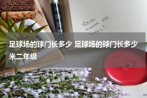 足球场的球门长多少 足球场的球门长多少米二年级