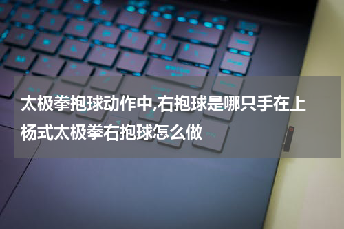 太极拳抱球动作中,右抱球是哪只手在上 杨式太极拳右抱球怎么做