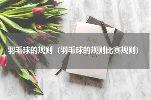 羽毛球的规则（羽毛球的规则比赛规则）