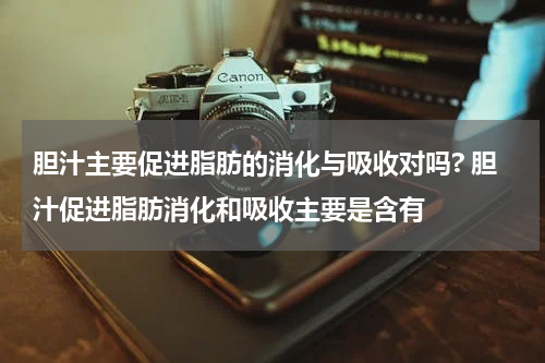 胆汁主要促进脂肪的消化与吸收对吗? 胆汁促进脂肪消化和吸收主要是含有