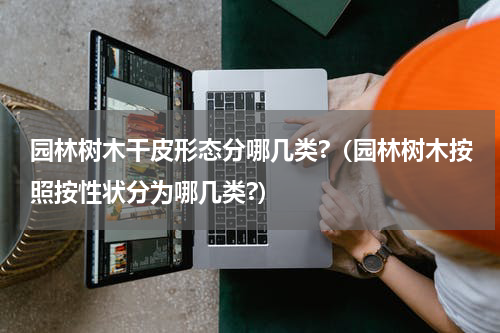 园林树木干皮形态分哪几类?（园林树木按照按性状分为哪几类?）