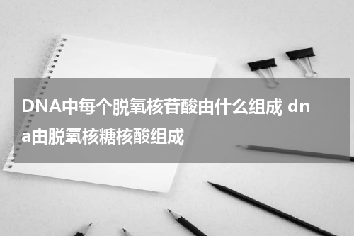 DNA中每个脱氧核苷酸由什么组成 dna由脱氧核糖核酸组成