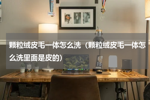 颗粒绒皮毛一体怎么洗（颗粒绒皮毛一体怎么洗里面是皮的）