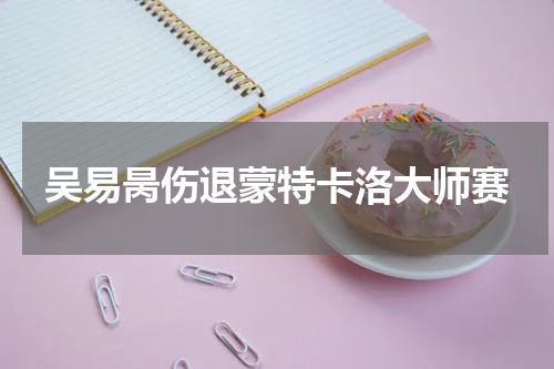 吴易昺伤退蒙特卡洛大师赛