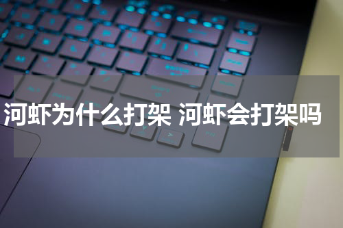 河虾为什么打架 河虾会打架吗