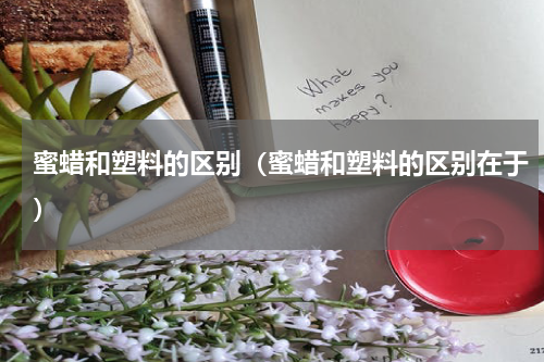 蜜蜡和塑料的区别（蜜蜡和塑料的区别在于）