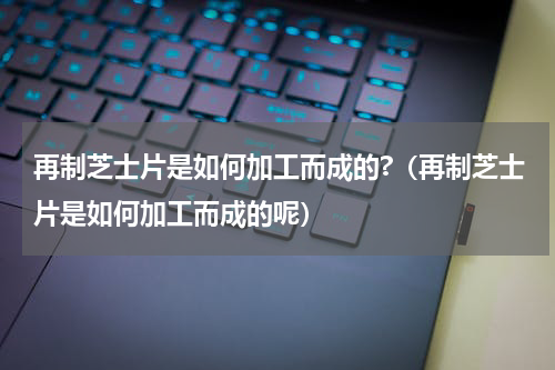 再制芝士片是如何加工而成的?（再制芝士片是如何加工而成的呢）