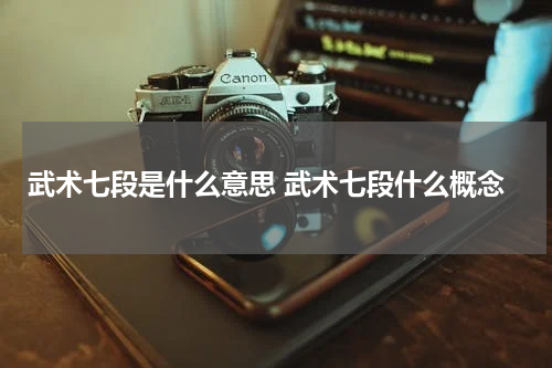 武术七段是什么意思 武术七段什么概念