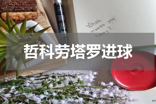 哲科劳塔罗进球
