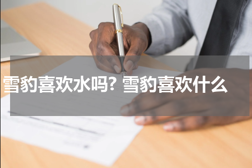 雪豹喜欢水吗? 雪豹喜欢什么