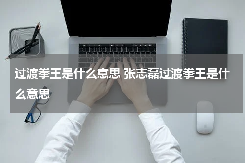 过渡拳王是什么意思 张志磊过渡拳王是什么意思