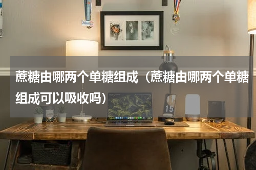 蔗糖由哪两个单糖组成（蔗糖由哪两个单糖组成可以吸收吗）