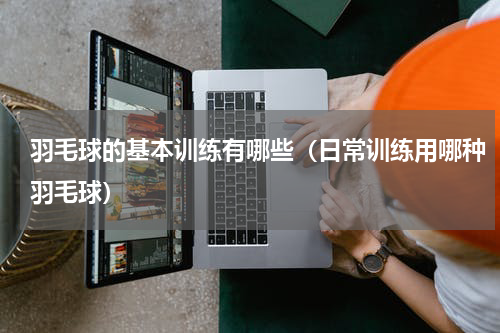 羽毛球的基本训练有哪些（日常训练用哪种羽毛球）