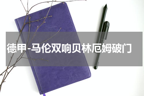 德甲-马伦双响贝林厄姆破门