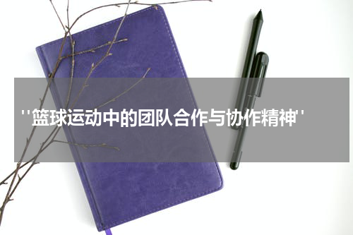  "篮球运动中的团队合作与协作精神"