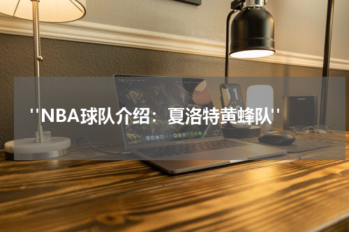  "NBA球队介绍：夏洛特黄蜂队"