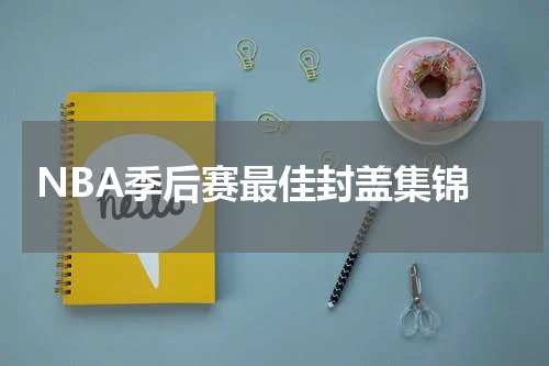  NBA季后赛最佳封盖集锦