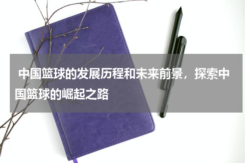  中国篮球的发展历程和未来前景，探索中国篮球的崛起之路