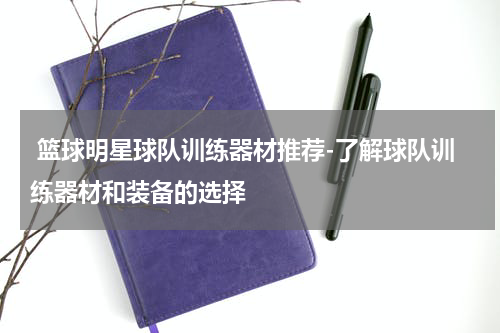  篮球明星球队训练器材推荐-了解球队训练器材和装备的选择