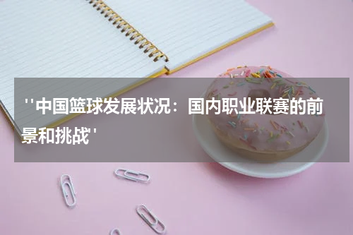  "中国篮球发展状况：国内职业联赛的前景和挑战"