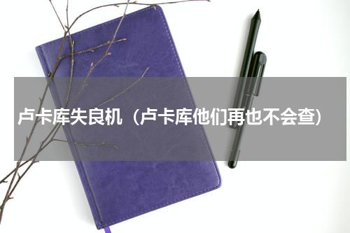 卢卡库失良机（卢卡库他们再也不会查）
