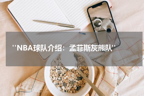  "NBA球队介绍：孟菲斯灰熊队"