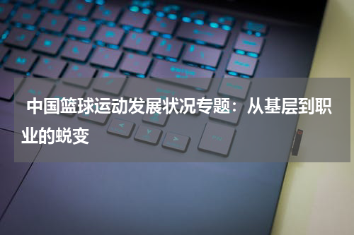  中国篮球运动发展状况专题：从基层到职业的蜕变