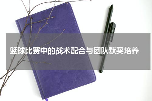  篮球比赛中的战术配合与团队默契培养