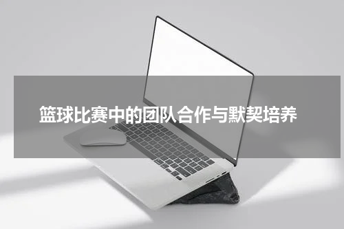  篮球比赛中的团队合作与默契培养