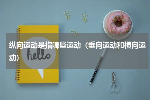纵向运动是指哪些运动（垂向运动和横向运动）