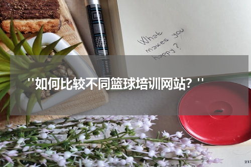  "如何比较不同篮球培训网站？"