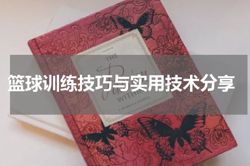  篮球训练技巧与实用技术分享