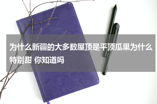 为什么新疆的大多数屋顶是平顶瓜果为什么特别甜 你知道吗