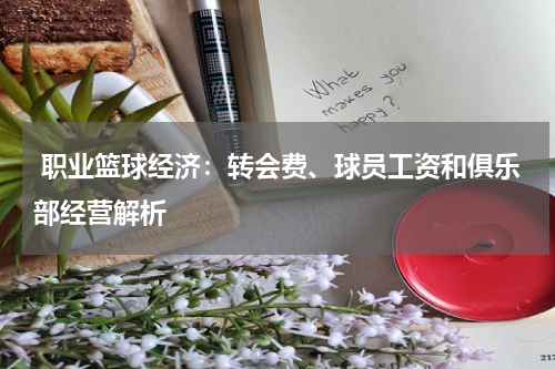  职业篮球经济：转会费、球员工资和俱乐部经营解析