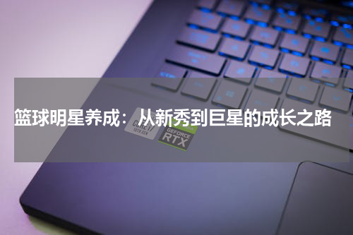  篮球明星养成：从新秀到巨星的成长之路
