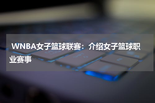  WNBA女子篮球联赛：介绍女子篮球职业赛事