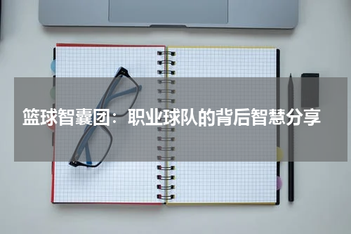  篮球智囊团：职业球队的背后智慧分享