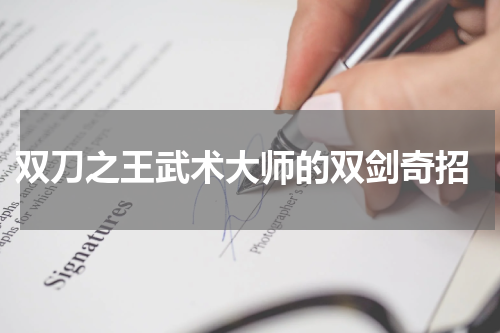  双刀之王武术大师的双剑奇招