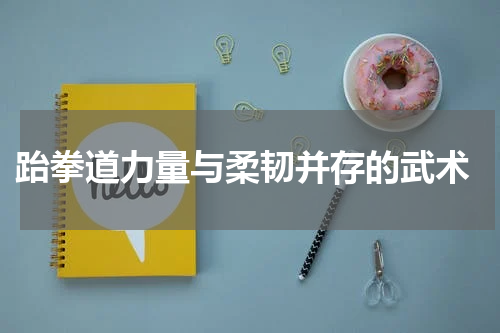  跆拳道力量与柔韧并存的武术