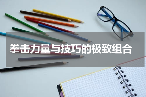  拳击力量与技巧的极致组合