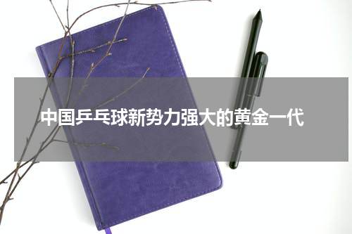  中国乒乓球新势力强大的黄金一代