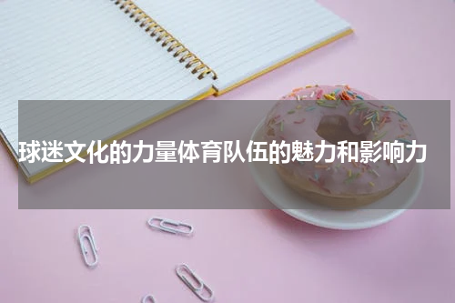  球迷文化的力量体育队伍的魅力和影响力
