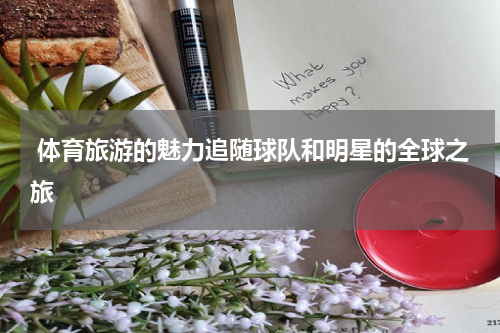  体育旅游的魅力追随球队和明星的全球之旅