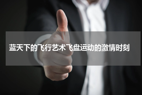  蓝天下的飞行艺术飞盘运动的激情时刻